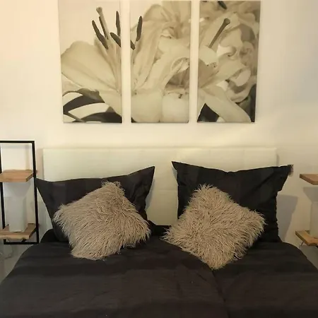 Apartament Neu, Modern 